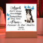 Border Collie Memorial Square Acrylic Sign Plaque