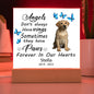 Labrador Retriever Memorial Square Acrylic Sign Plaque