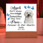 Poodle Memorial Square Acrylic Sign Plaque