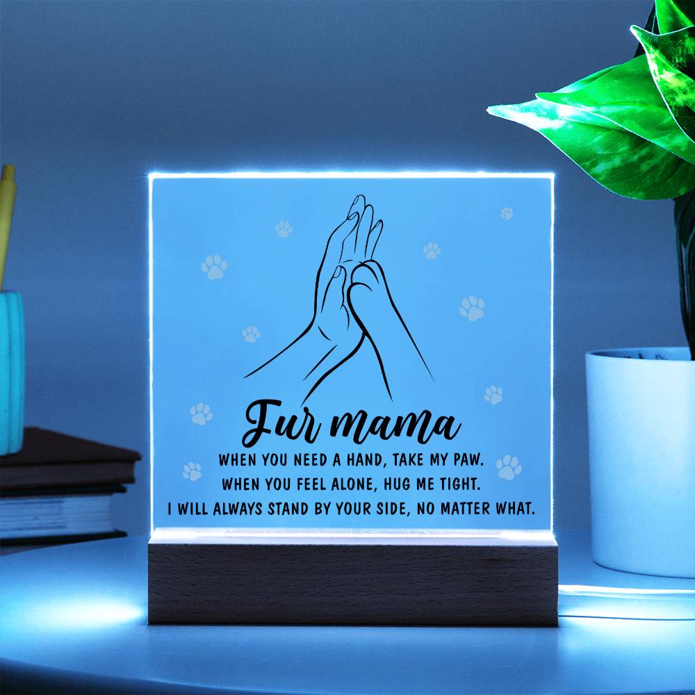 Fur Mama Gift - Take My Paw - Acrylic Square Plaque