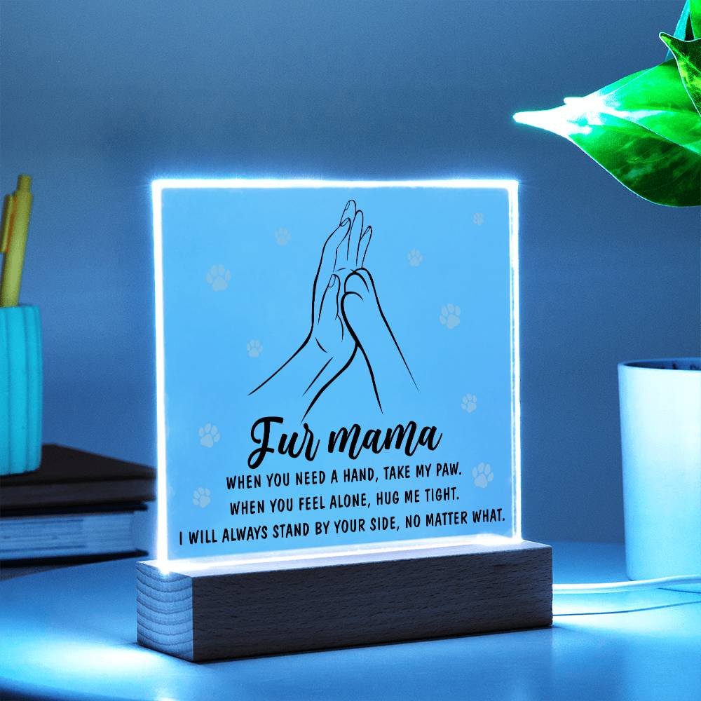 Fur Mama Gift - Take My Paw - Acrylic Square Plaque