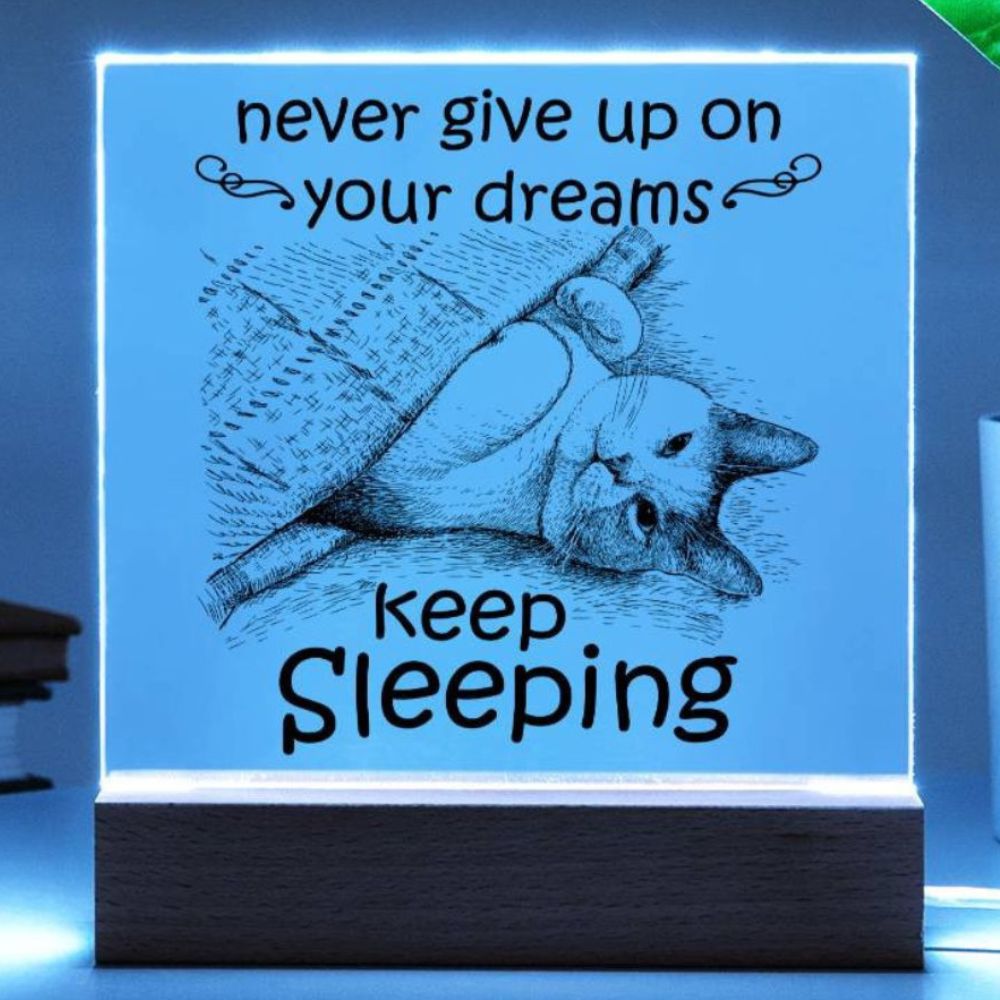 Encouragement Gift - Acrylic Square Plaque with Available LED Night Light - Never Give Up On Your Dreams