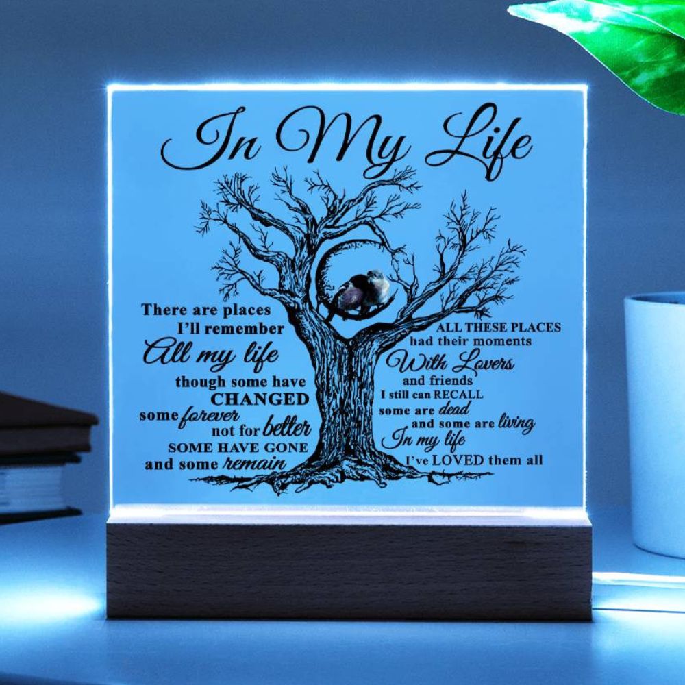 Soulmate Gift - Acrylic Square Plaque with Available LED Night Light - In My Life