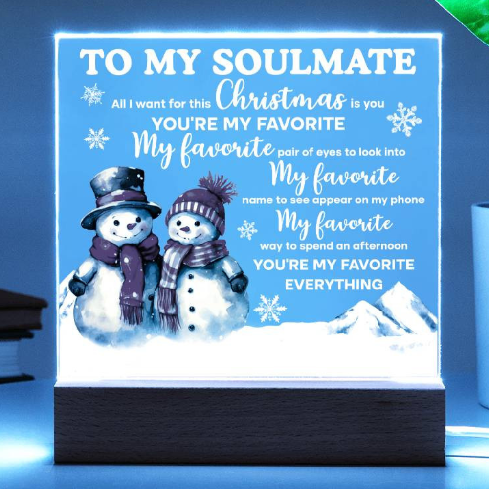 Soulmate Christmas Gift - My One and Only - Acrylic  Plaque with Available LED Night Light