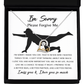 I'm Sorry Gift - Love Heart Necklace - Things To Be