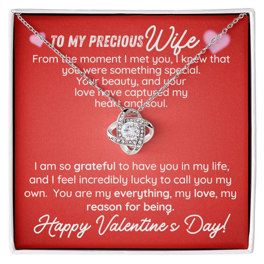 To My Wife Valentine's Day Gift- You Are My Reason For Being